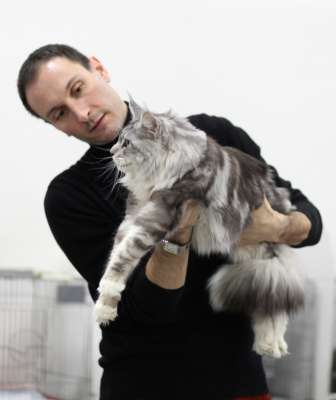 �������� ����� '������� ���-�����' 30 ������-1 ������� 2013., ������������ ��� 2405